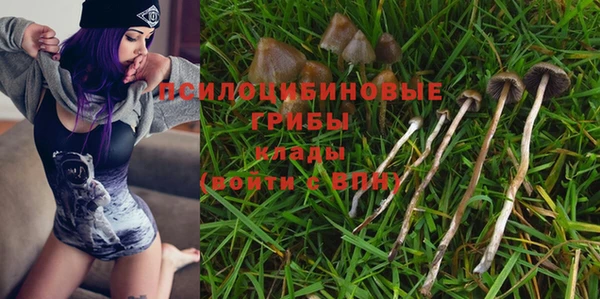 бутират Баксан