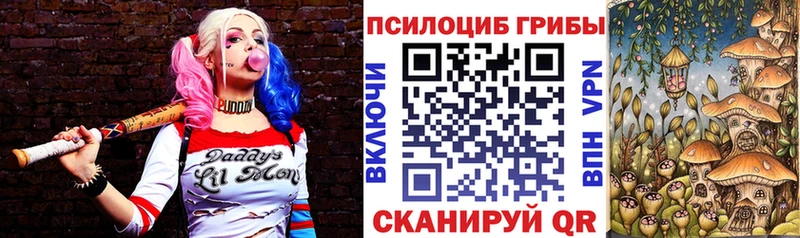 где найти наркотики  Корсаков  Псилоцибиновые грибы Cubensis 